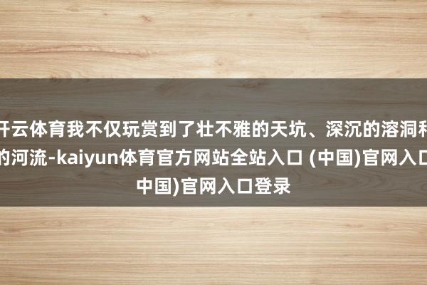 开云体育我不仅玩赏到了壮不雅的天坑、深沉的溶洞和绚烂的河流-kaiyun体育官方网站全站入口 (中国)官网入口登录