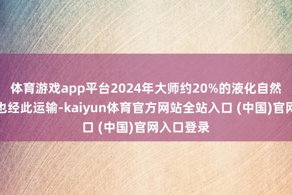 体育游戏app平台2024年大师约20%的液化自然气买卖量也经此运输-kaiyun体育官方网站全站入口 (中国)官网入口登录