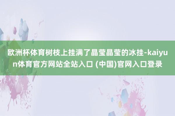欧洲杯体育树枝上挂满了晶莹晶莹的冰挂-kaiyun体育官方网站全站入口 (中国)官网入口登录