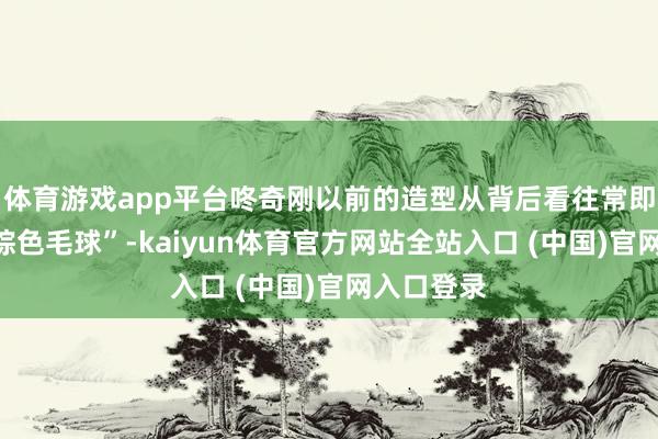 体育游戏app平台咚奇刚以前的造型从背后看往常即是“一团棕色毛球”-kaiyun体育官方网站全站入口 (中国)官网入口登录