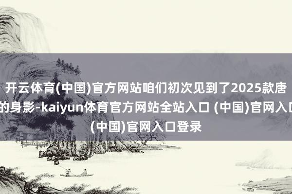 开云体育(中国)官方网站咱们初次见到了2025款唐DM-i的身影-kaiyun体育官方网站全站入口 (中国)官网入口登录