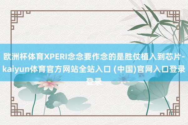 欧洲杯体育XPERI念念要作念的是胜仗植入到芯片-kaiyun体育官方网站全站入口 (中国)官网入口登录