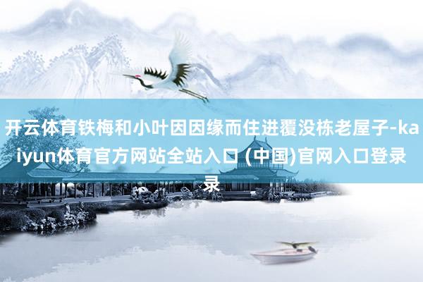 开云体育铁梅和小叶因因缘而住进覆没栋老屋子-kaiyun体育官方网站全站入口 (中国)官网入口登录