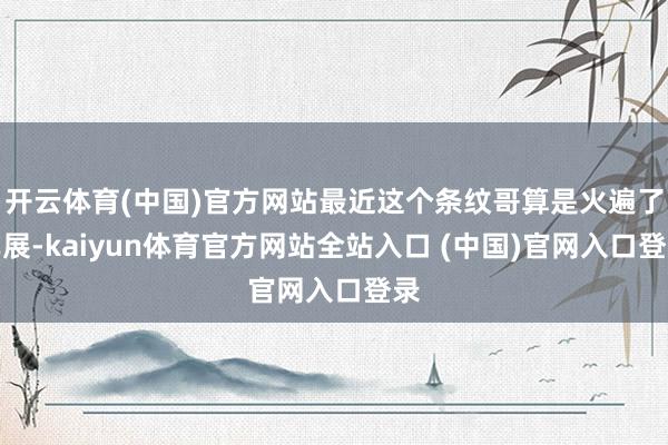 开云体育(中国)官方网站最近这个条纹哥算是火遍了车展-kaiyun体育官方网站全站入口 (中国)官网入口登录