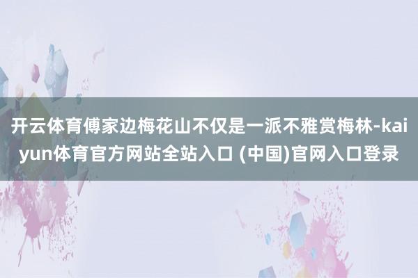 开云体育傅家边梅花山不仅是一派不雅赏梅林-kaiyun体育官方网站全站入口 (中国)官网入口登录