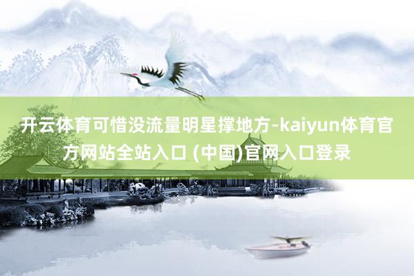 开云体育可惜没流量明星撑地方-kaiyun体育官方网站全站入口 (中国)官网入口登录